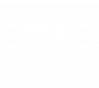 AI BOBBY
